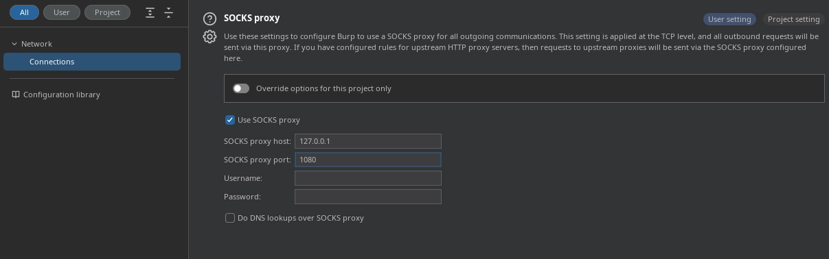 Burp Proxy Setting