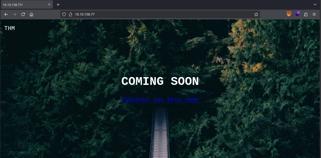 Web 80 Index