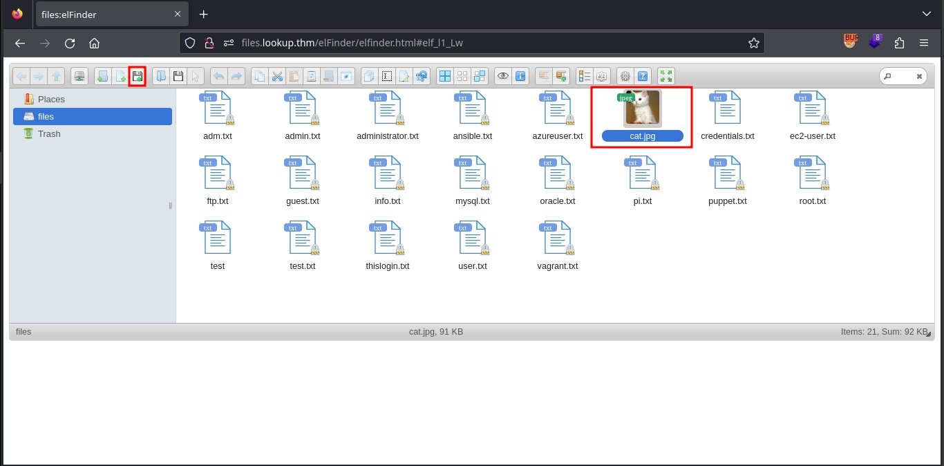Web 80 Files Exploit