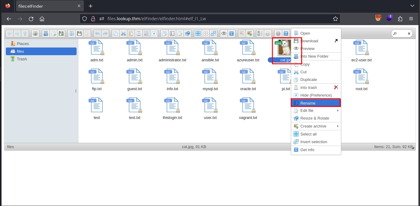 Web 80 Files Exploit Two