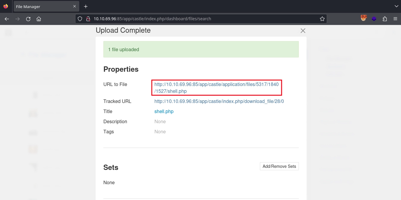 Web 85 App Castle Admin Webshell Path