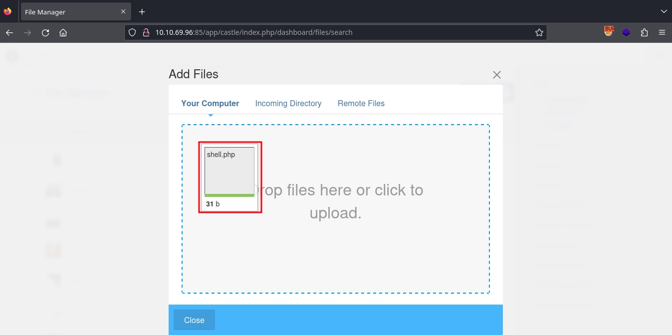Web 85 App Castle Admin Webshell Upload