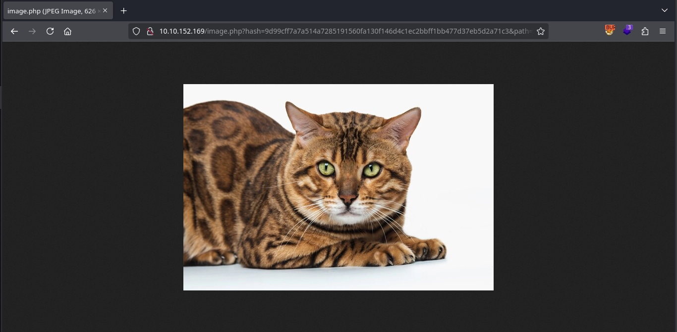 Web 80 Image