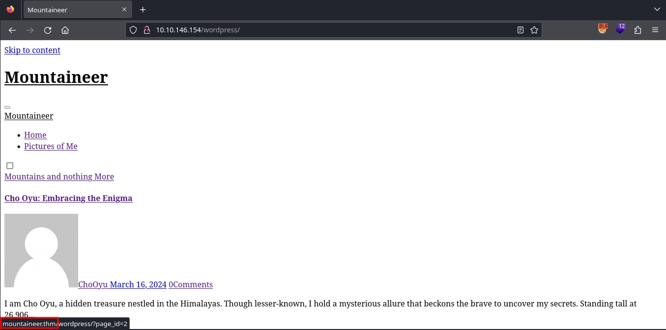 Web 80 Wordpress