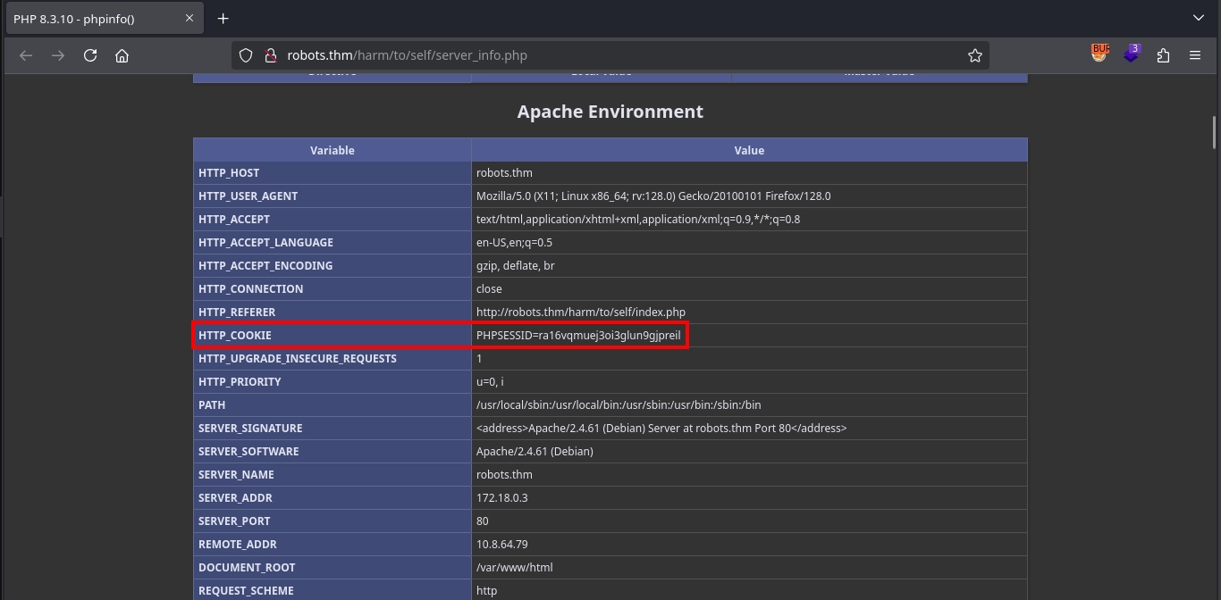 Robots Thm Phpinfo Cookie