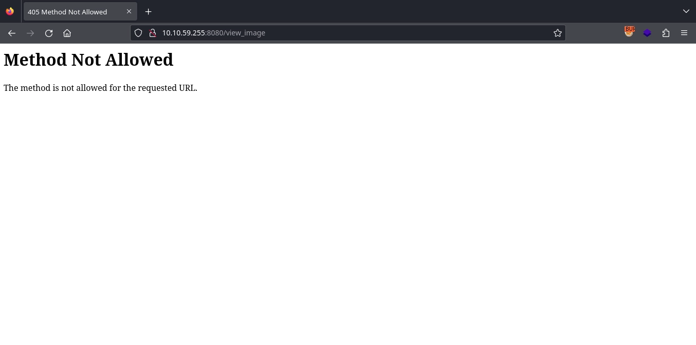 Web 8080 View Image