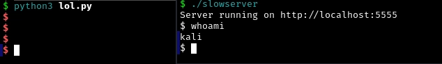 Slowserver Five