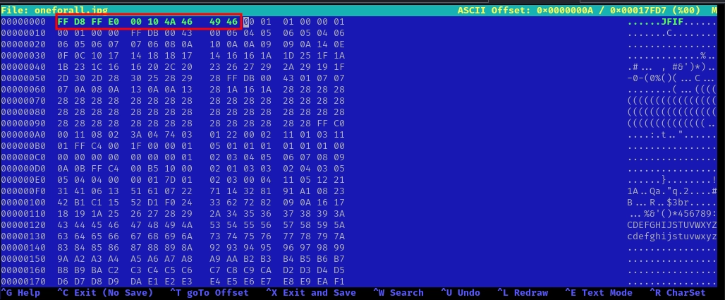 Hexeditor JPG Magic Bytes